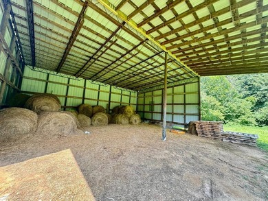 MLS11791984------179 Cow Lane, Arnoldsburg, WV - 16.63 acres +/- - photo 46
