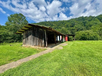 MLS11791984------179 Cow Lane, Arnoldsburg, WV - 16.63 acres +/- - photo 48