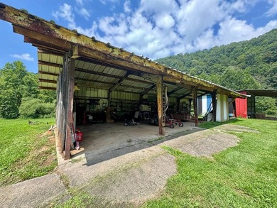 MLS11791984------179 Cow Lane, Arnoldsburg, WV - 16.63 acres +/- - photo 49