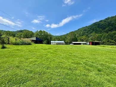 MLS11791984------179 Cow Lane, Arnoldsburg, WV - 16.63 acres +/- - photo 51