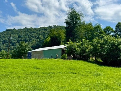 MLS11791984------179 Cow Lane, Arnoldsburg, WV - 16.63 acres +/- - photo 55