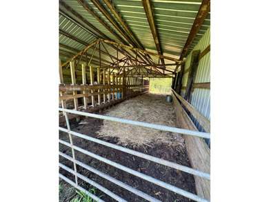 MLS11791984------179 Cow Lane, Arnoldsburg, WV - 16.63 acres +/- - photo 56