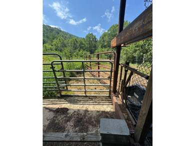 MLS11791984------179 Cow Lane, Arnoldsburg, WV - 16.63 acres +/- - photo 58