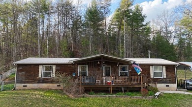 (private lake, pond, coastal) Home For Sale in Hayesville North Carolina