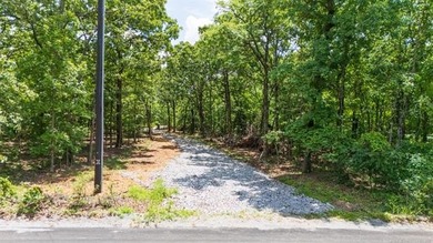 Welcome to your beautiful 16 acre wooded oasis just southeast of - photo 2