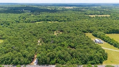 Welcome to your beautiful 16 acre wooded oasis just southeast of - photo 3