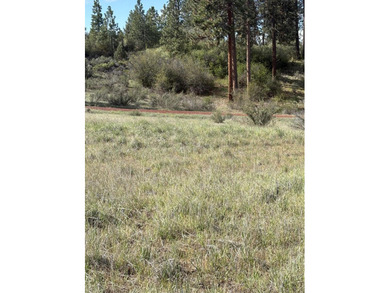This appealing 1 Acre homesite in Chiloquin, located at the end - photo 3