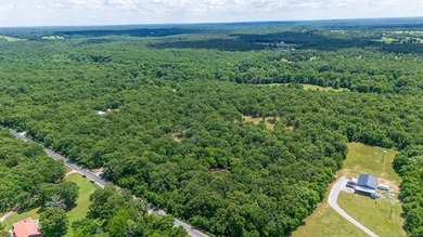 Welcome to your beautiful 16 acre wooded oasis just southeast of - photo 4
