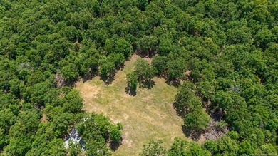 Welcome to your beautiful 16 acre wooded oasis just southeast of - photo 5