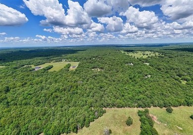 Welcome to your beautiful 16 acre wooded oasis just southeast of - photo 7