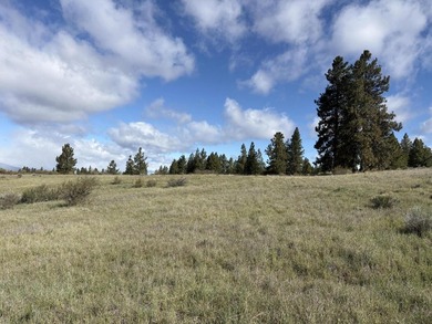 This appealing 1 Acre homesite in Chiloquin, located at the end - photo 7