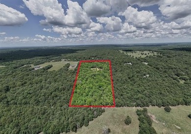 Welcome to your beautiful 16 acre wooded oasis just southeast of - photo 8