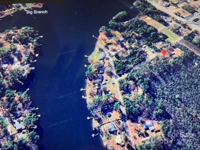 Lake Lot For Sale in Manning, South Carolina