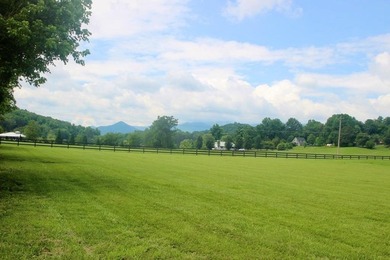 Lake Lot For Sale in Hiawassee, Georgia