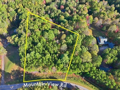 (private lake, pond, coastal) Acreage For Sale in Mccaysville Georgia