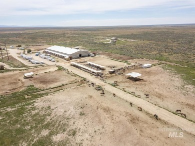 A Horse Lover's Paradise - Live, Ride, and Relax All in One