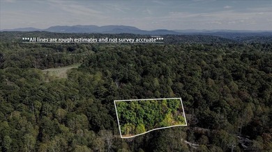 Coosawattee River - Gilmer County Lot For Sale in Ellijay Georgia