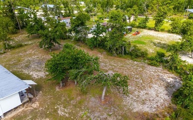 Location, location, location! Just 5.7 miles from Keaton Beach - photo 22