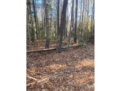 Great Wicomico River Lot For Sale in Heathsville Virginia