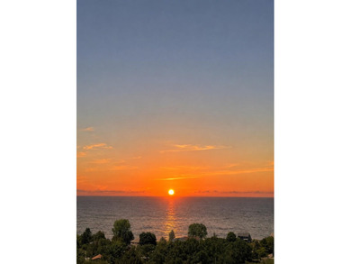 Lake Lot For Sale in Shelby, Michigan