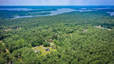 Lake Home For Sale in Bismarck, Arkansas