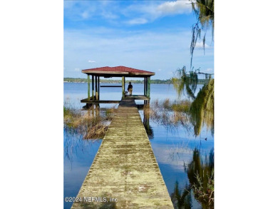 Georges Lake Lot For Sale in Florahome Florida