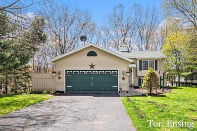 Lake Home For Sale in Cedar Springs, Michigan