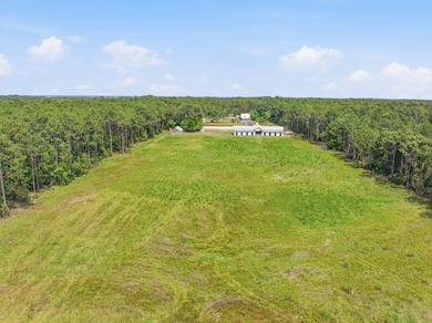 A rare opportunity to own a true 'farm at the beach' lifestyle - photo 57