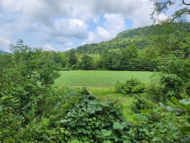 (private lake, pond, creek) Acreage Sale Pending in Forksville Pennsylvania