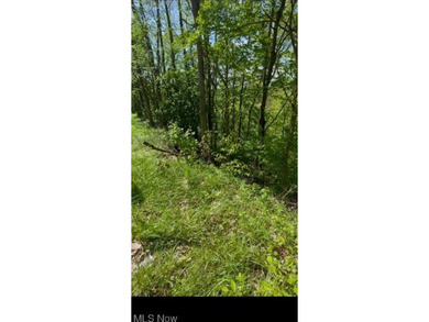 Ohio River Acreage For Sale in East Liverpool Ohio
