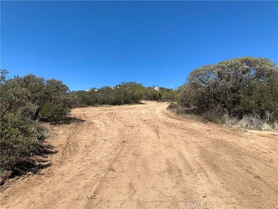 887 Forest Springs Rd - photo 16