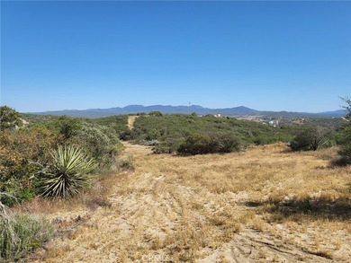 887 Forest Springs Rd - photo 18