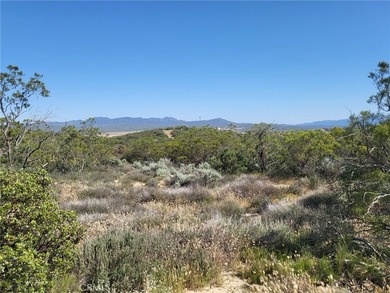 887 Forest Springs Rd - photo 20