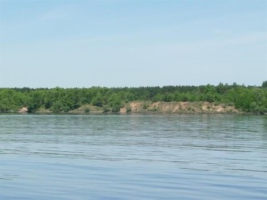 Waterfront Lot with 151 feet of frontage on Petenwell Lake. This - photo 1