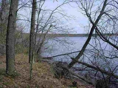 Waterfront Lot with 151 feet of frontage on Petenwell Lake. This - photo 3