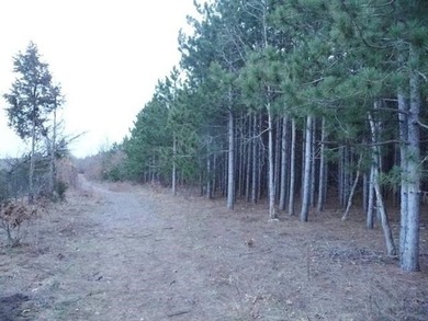 Waterfront Lot with 151 feet of frontage on Petenwell Lake. This - photo 5