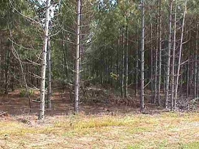 Waterfront Lot with 151 feet of frontage on Petenwell Lake. This - photo 6