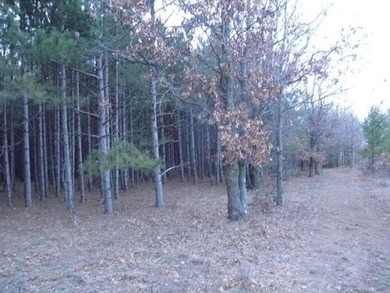 Waterfront Lot with 151 feet of frontage on Petenwell Lake. This - photo 7