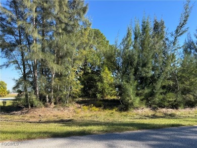 Cape Coral Area Commercial For Sale in Cape Coral Florida