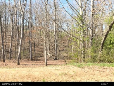 Lake Lot For Sale in Gainesville, Georgia