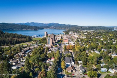 Experience premier downtown lakeview living in this 10th-floor - photo 44