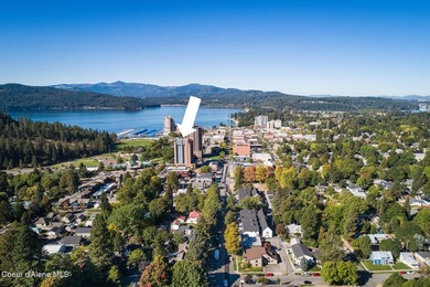 Experience premier downtown lakeview living in this 10th-floor - photo 45