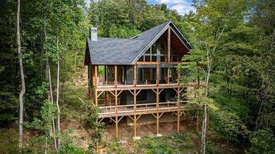 (private lake, pond, coastal) Home Active Under Contract in Ellijay Georgia