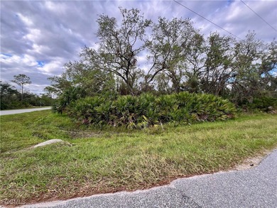 Port Charlotte Waterway Area Lot For Sale in Port Charlotte Florida