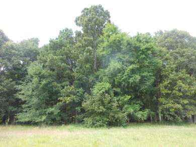 THIS IS THE SOUTH AND SOUTHWEST PORTION OF A 70 ACRE TRACT. IT - photo 11