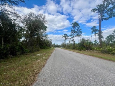 CORNER LOT PORT CHARLOTTE Beautiful corner lot offers a unique - photo 4