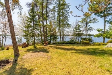 Professional photos coming soon! One of Rainy Lake's premier - photo 29