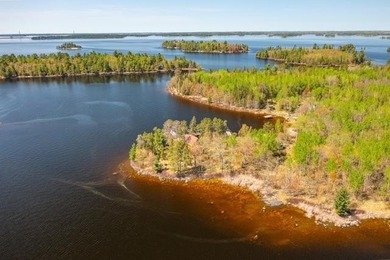 Professional photos coming soon! One of Rainy Lake's premier - photo 34