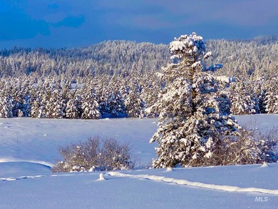 Discover the ideal North Idaho homestead on 40+ fully fenced - photo 40