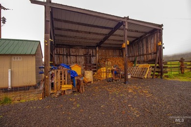 Discover the ideal North Idaho homestead on 40+ fully fenced - photo 49